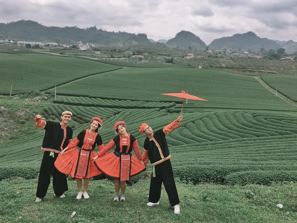 Đồi Chè Mộc Châu